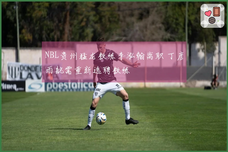 NBL贵州猛龙教练李泓翰离职 丁彦雨航需重新选聘教练